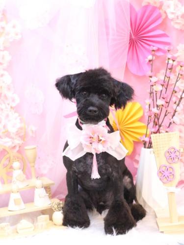 20250302レアくん